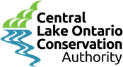 CLOCA logo